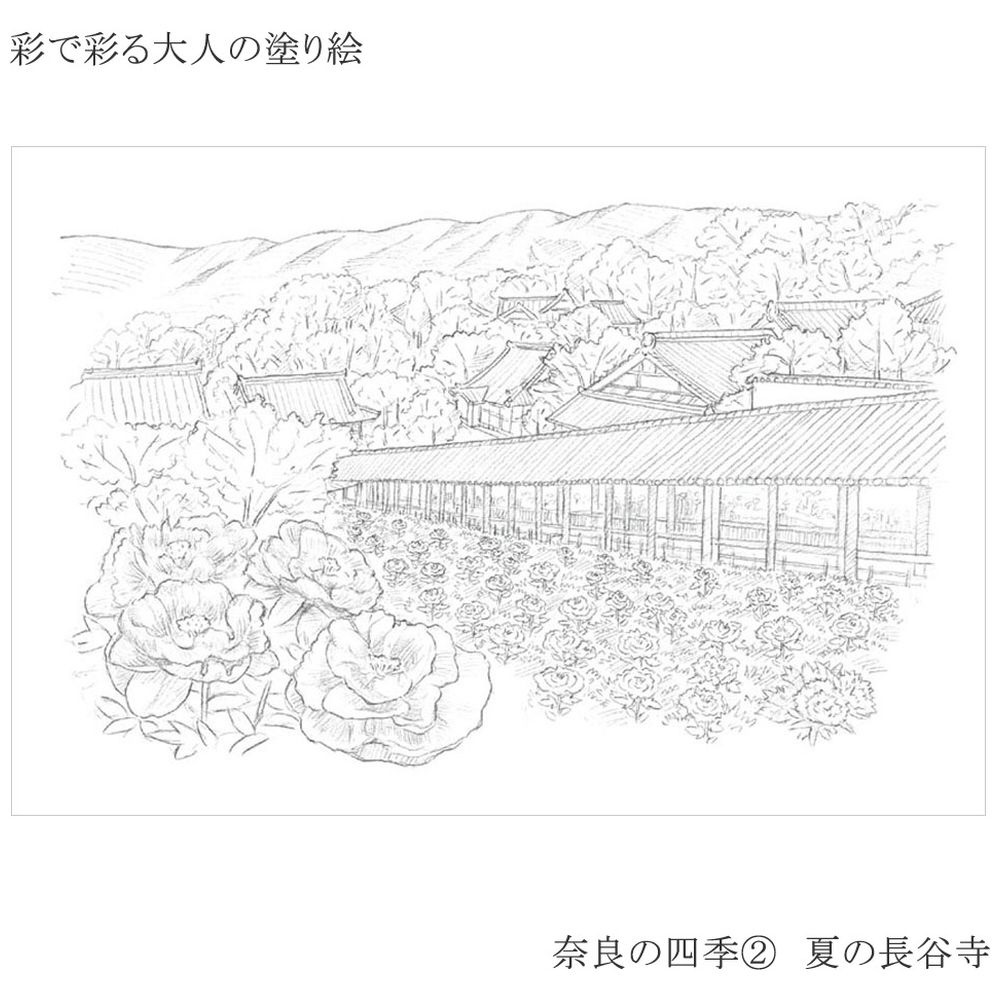 彩で彩る大人の塗り絵奈良の四季4枚セット の通販はソフマップ Sofmap