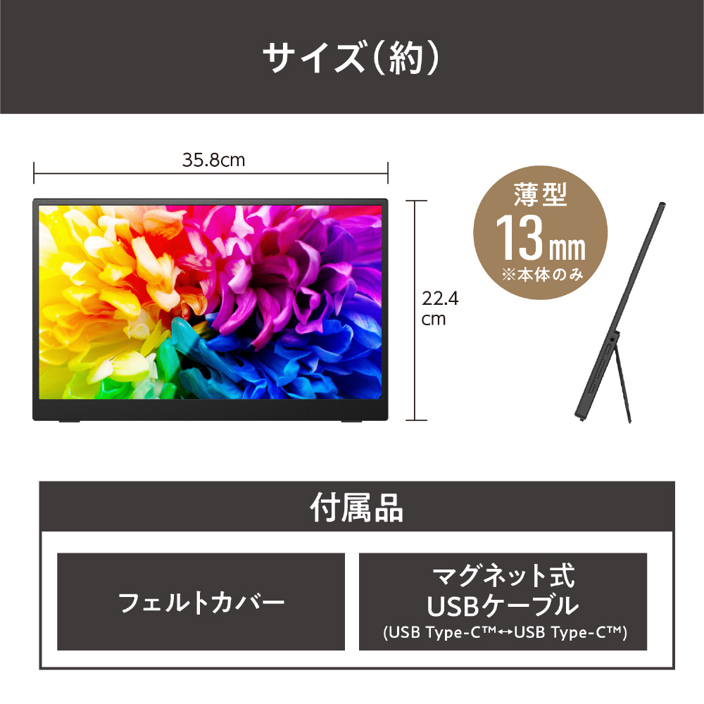 IRIS OHYAMA LUCA ポータブルモニター DP-GF166S-B USB-C接続 モバイルモニター LUCA ブラック DP-GF166S-B ［15.6型