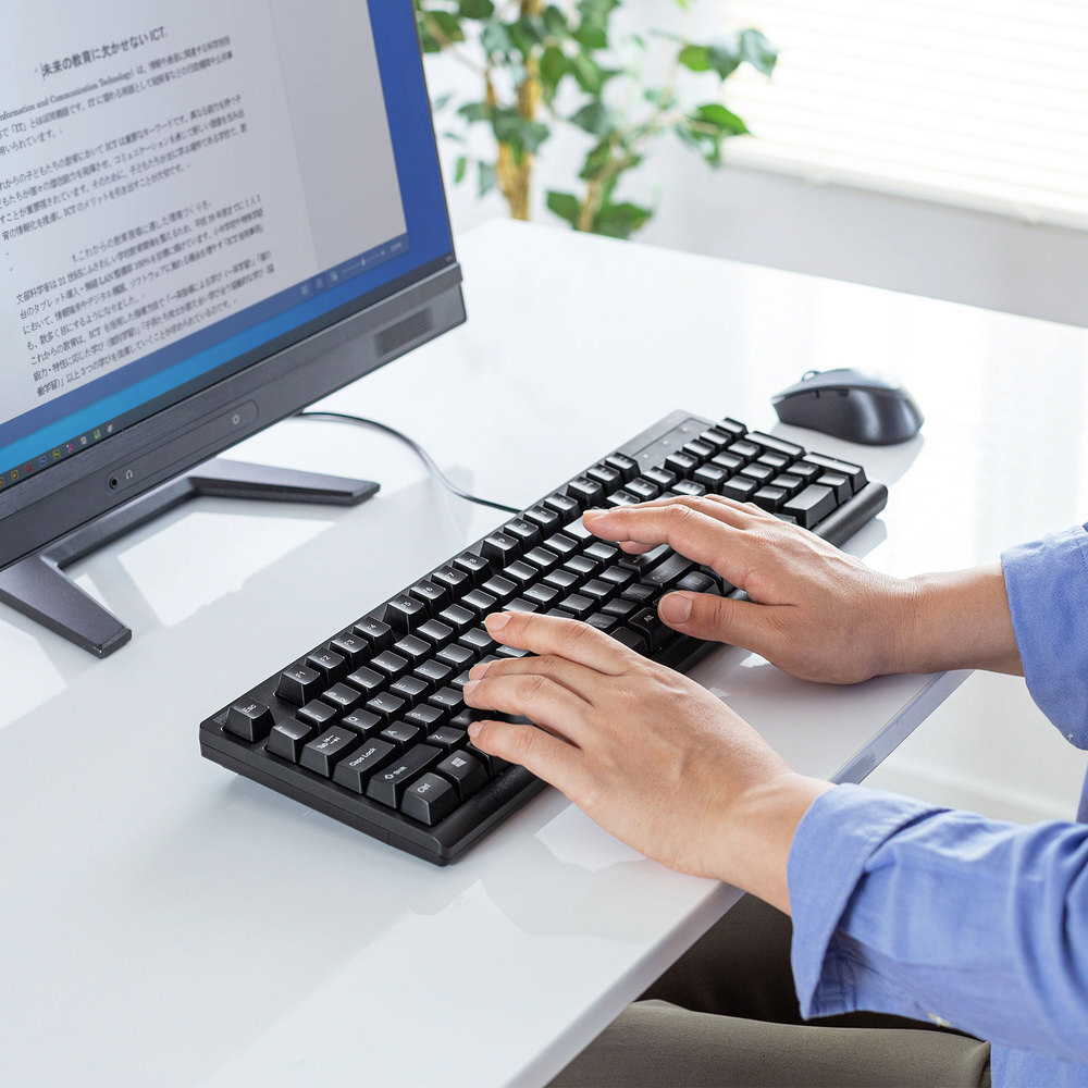 キーボード (英語配列・Windows11対応) ブラック SKB-E5UBK ［有線
