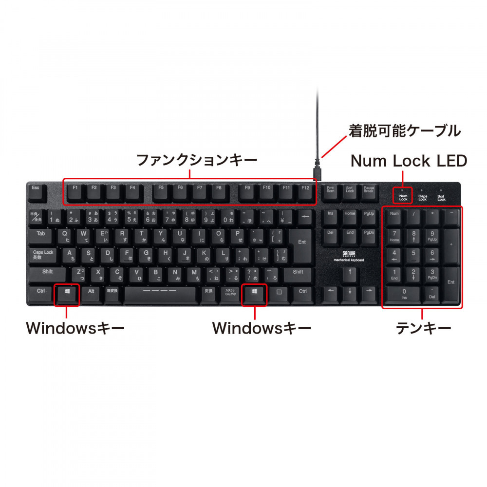 キーボード (Windows11対応) SKB-MK3BK ［有線 /USB］｜の通販は