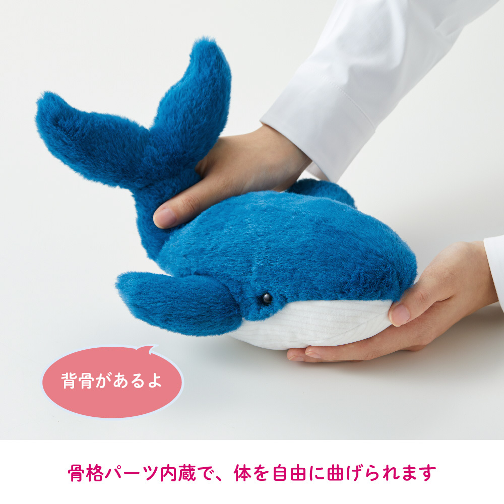 クッションポーチ Pouzoo(ポーズー) アザラシ PZC2050｜の通販は