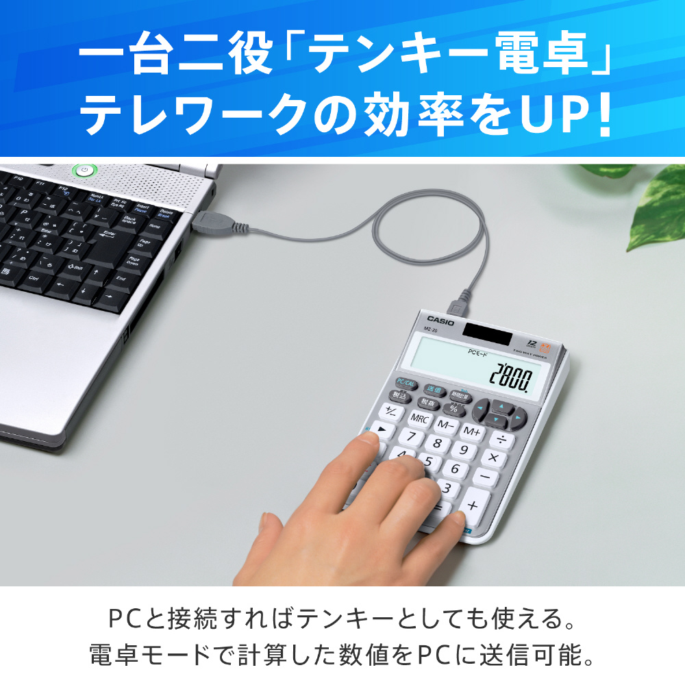 カシオ パーソナル電卓  カードタイプ 8桁 SL-797A-N 実務電卓 白