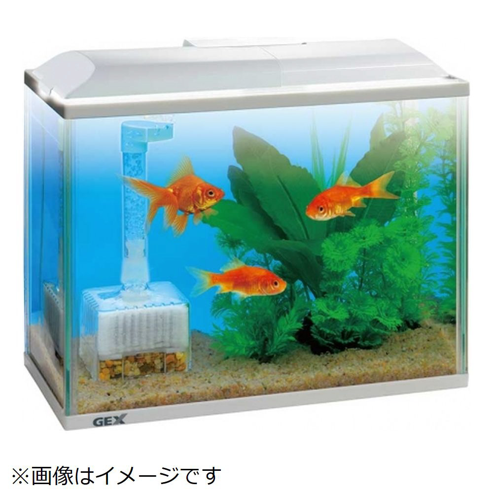 GEX シーウォーター 25L用 - 海水魚用品