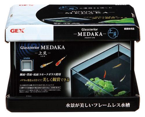 グラステリア メダカ 上見｜の通販はソフマップ[sofmap]