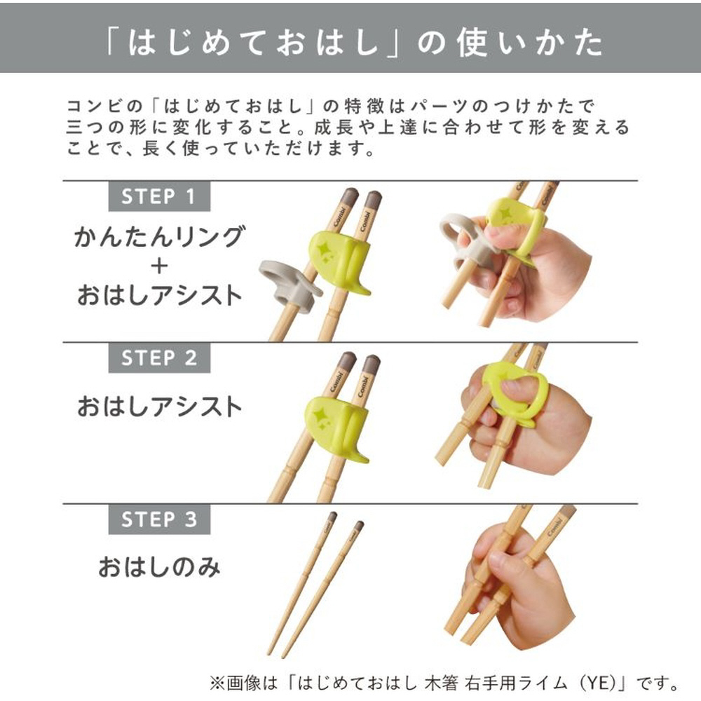 14日〜26日 P10倍]トレーニング箸 トレーニングはし お箸 練習 キャラクター 子供 練習用箸 子ども箸 スケーター ADT2