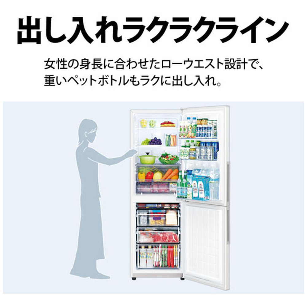 冷蔵庫 アコールホワイト SJ-PD31J-W ［幅56cm /310L /2ドア /右開き