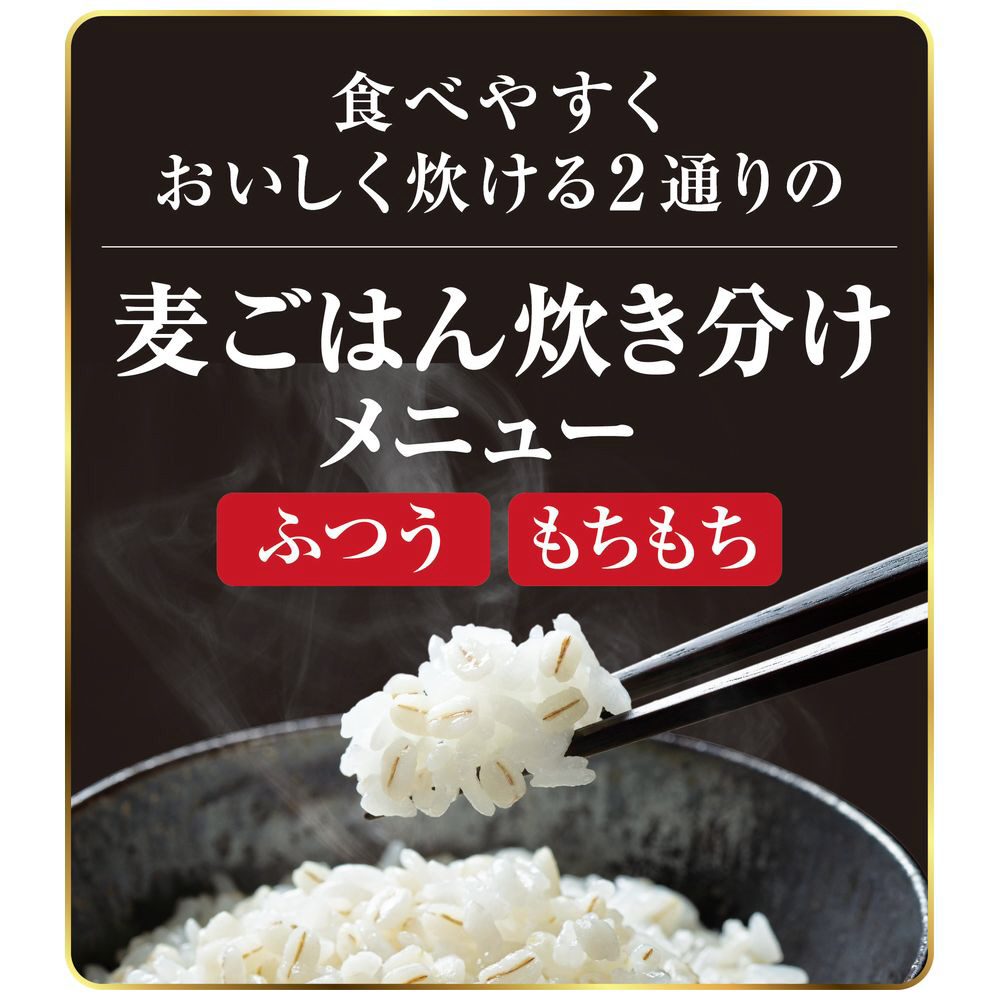 圧力IH炊飯ジャー 極め炊き ボルドー NP-ZV103BK-VD ［5.5合 /圧力IH