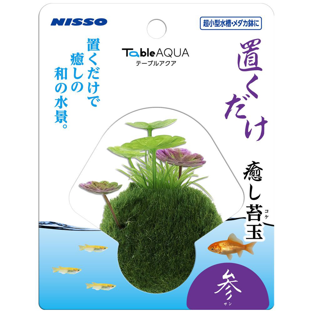 テーブルアクア 置くだけ癒し苔玉 参 サン 雑貨 ケア用品の通販はソフマップ Sofmap
