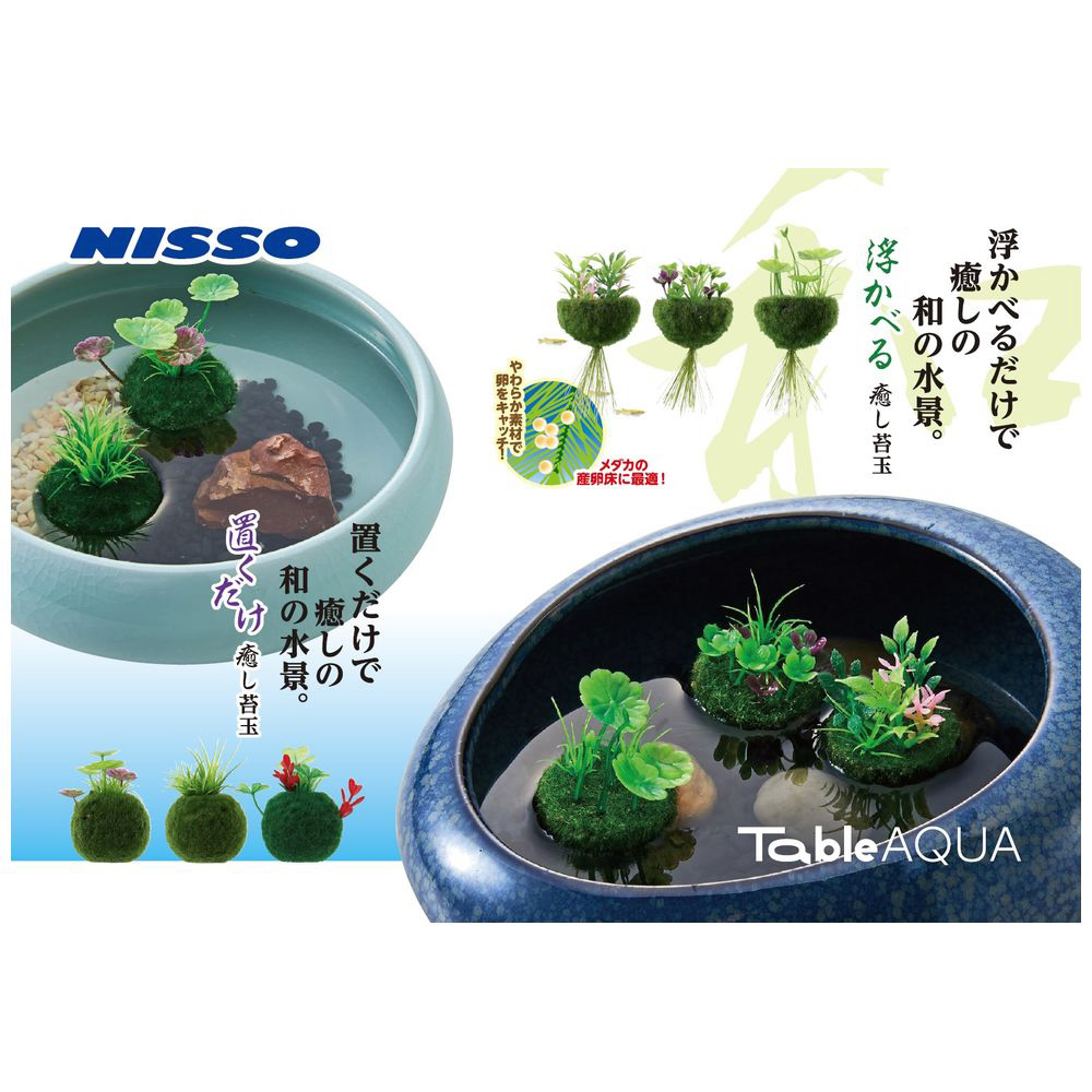 テーブルアクア 置くだけ癒し苔玉 参 サン の通販はソフマップ Sofmap