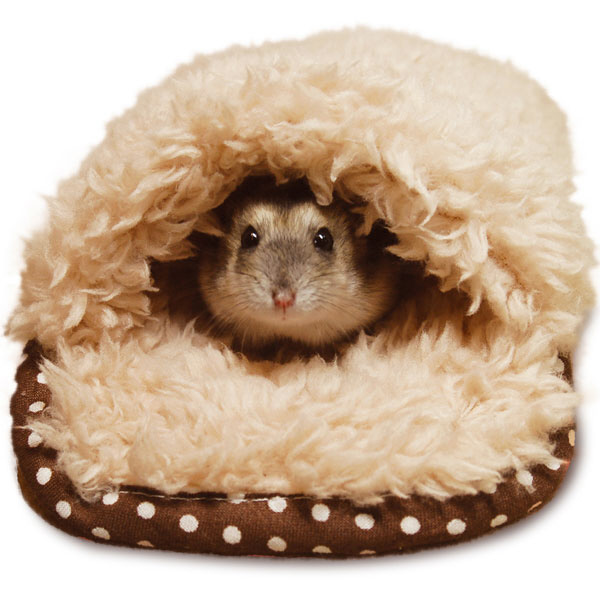 ハムスターのあったかポケットベッド｜の通販はソフマップ[sofmap]