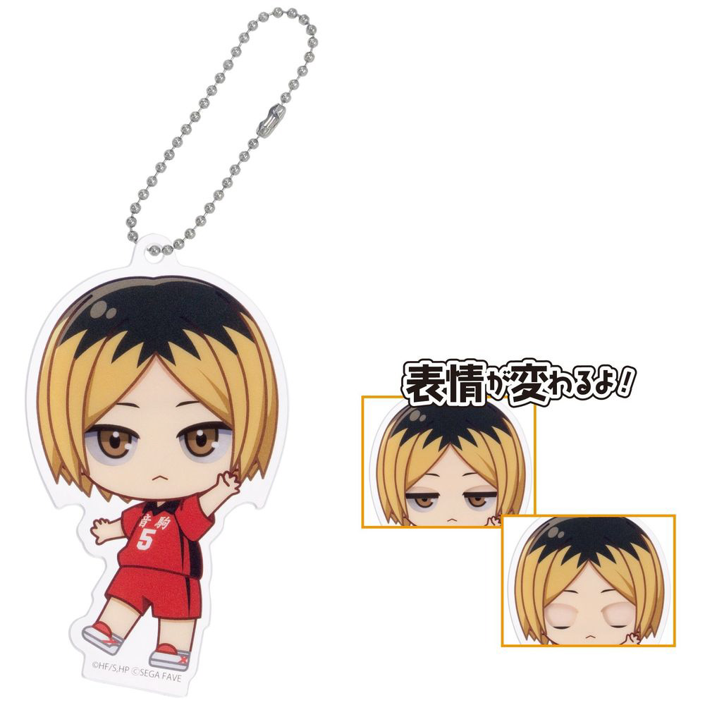 アクドールmini ハイキュー！！【単品】｜の通販はソフマップ