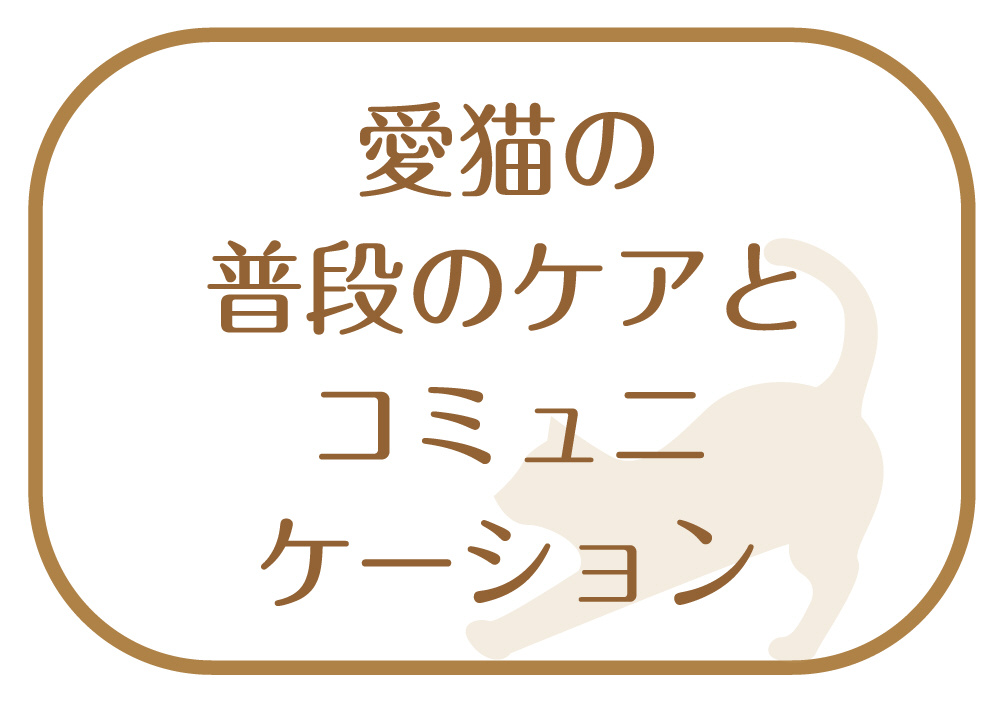 和歌山海南 猫が喜ぶマッサージ＆毛取りブラシ ネジリ｜の通販はソフマップ[sofmap]