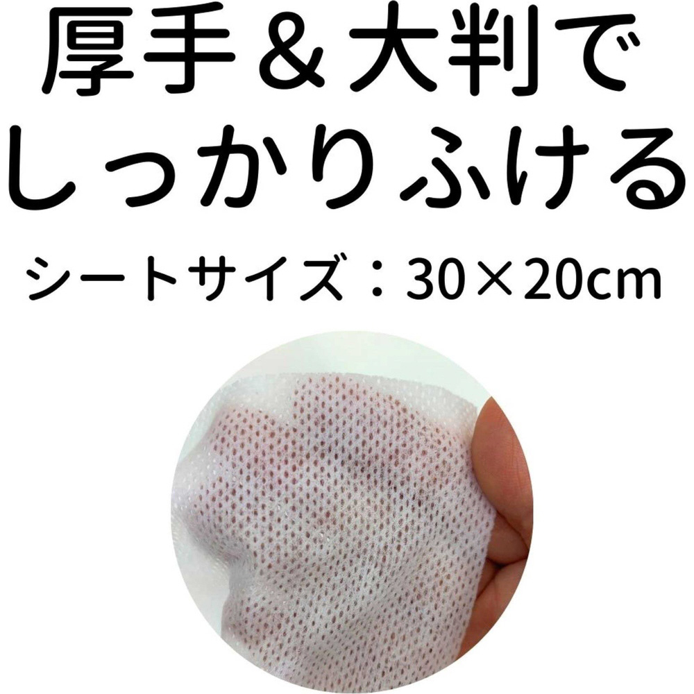 （まとめ） トイレまわり用お掃除シート 25枚入×2個パック （ペット用品） 〔×10セット〕 まとめ） トイレまわり用お掃除シート 25枚入×2個パック （ペット用品）
