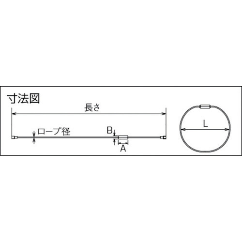 ステンレス ワイヤーキャッチ 全長1000mm B1645