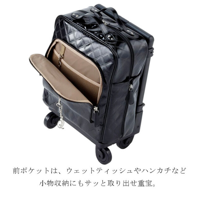 SWANY スワニー エマイロ ボルドー キャリー ショッピング