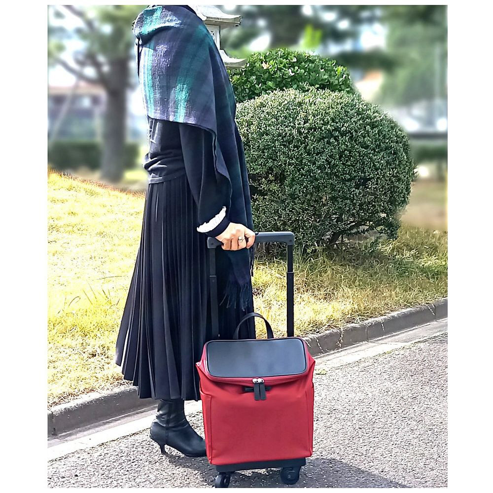 SWANY キャリーケース D-529アミーカM18 レッド アミーカ（4輪SP付