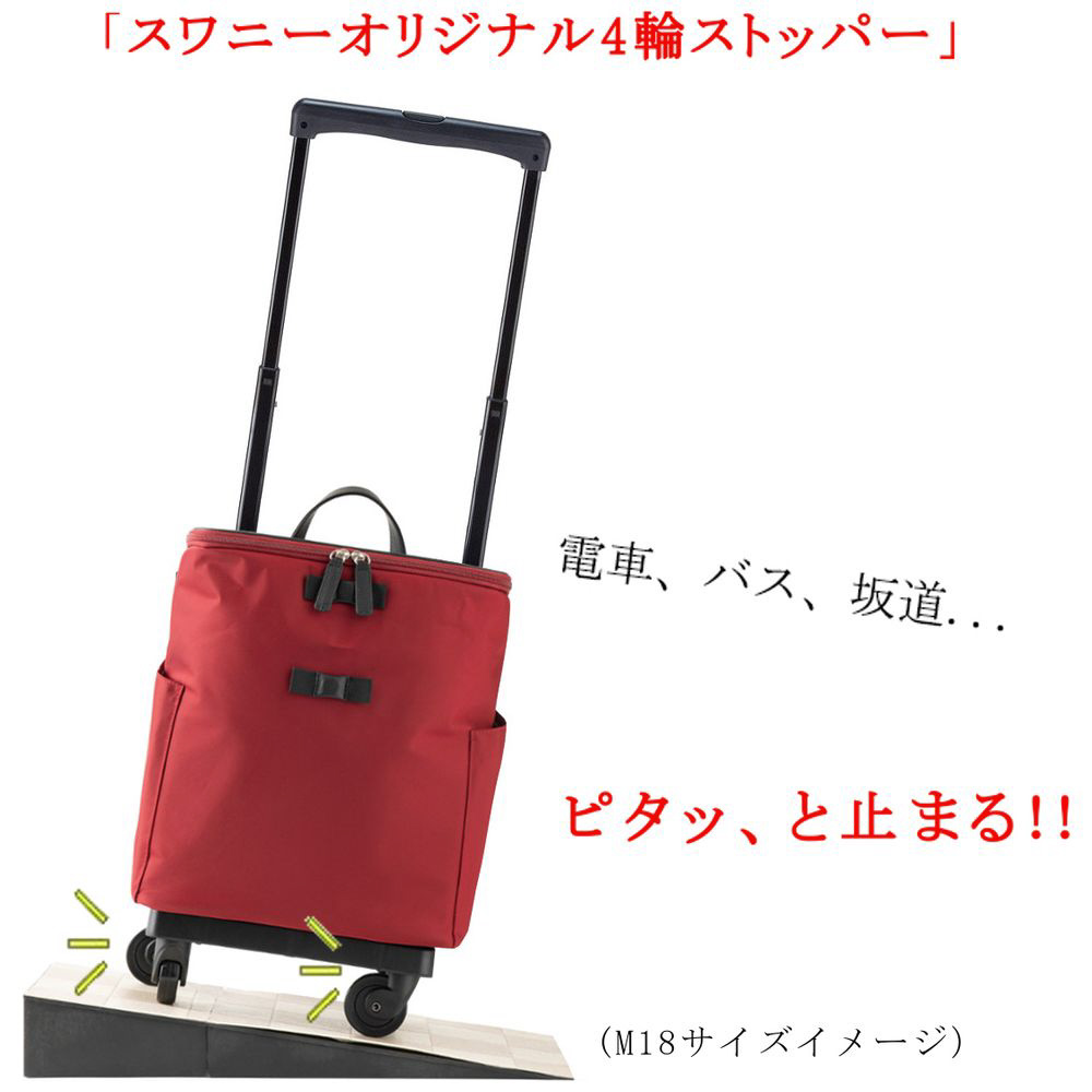 アミーカ（4輪SP付ダストガートTS15） SWANY（スワニー） ブラック D