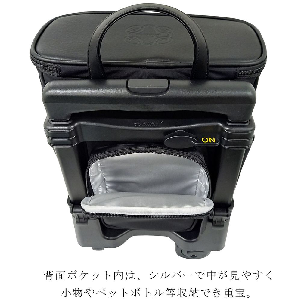 アミーカ（4輪SP付ダストガートTS15） SWANY（スワニー） ブラック D