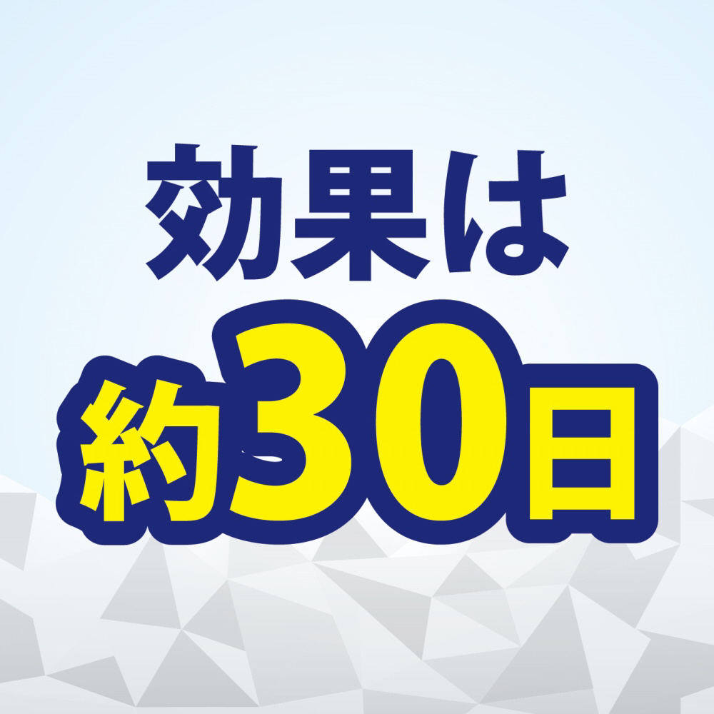 コバエコナーズ ゴミ箱用 腐敗抑制W 微香性 【864】