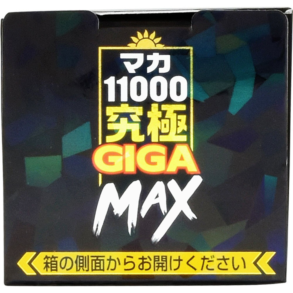 極　高品質liquid 1ml(カクカク) SQD2 シングル四重極質量分析計（LC-MS） (P1WTJ1000007-1
