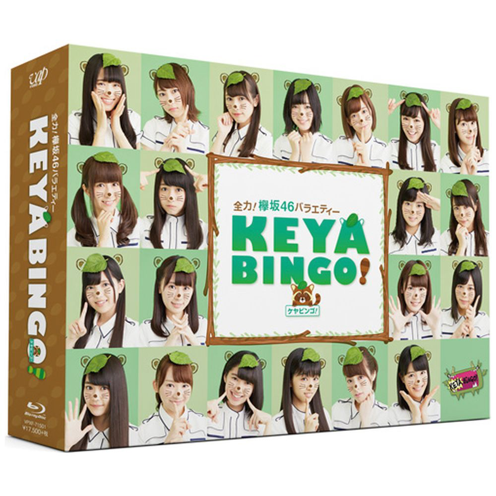 全力！欅坂46バラエティー KEYABINGO！ Blu-ray BOX BD
