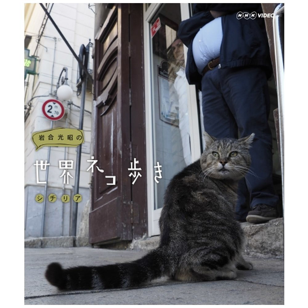 岩合光昭の世界ネコ歩き シチリア