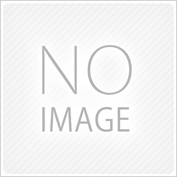 ブルース・ブラザース 【DVD】 ［DVD］｜洋画の通販はソフマップ[sofmap]