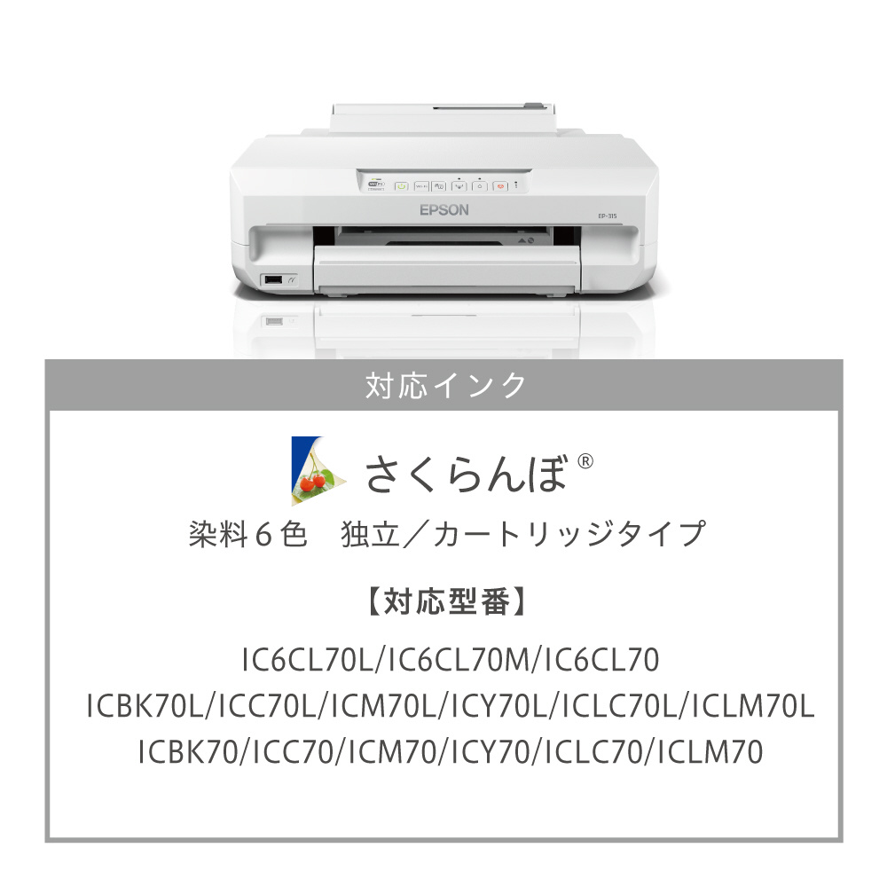 EP-315 カラーインクジェットプリンター Colorio(カラリオ) ［L判～A4