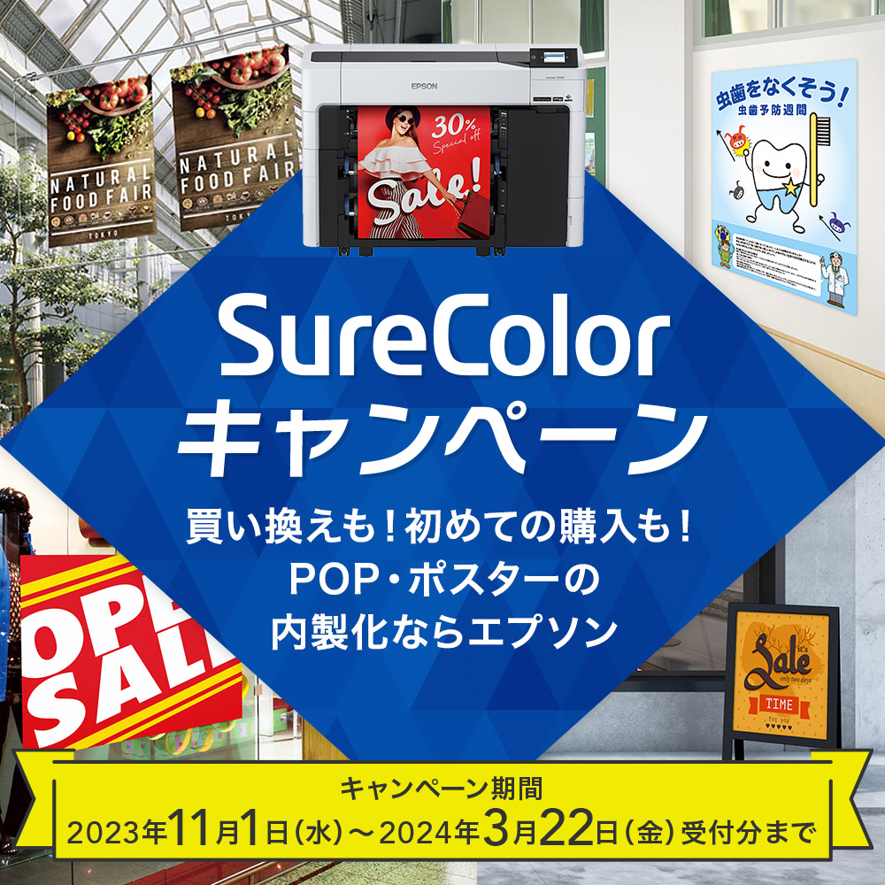 大判プリンター＋出張保守5年セットモデル【SC-P6550D】グレー6色 ダブルロール PostScript対応  〔SureColorキャンペーン2023〕 SC-P65DRC1 ［A4～A1ノビ］