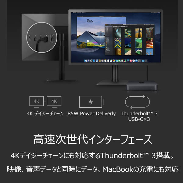 美品 LG UltraFine 4K ディスプレイ 24MD4KL-B 23.7