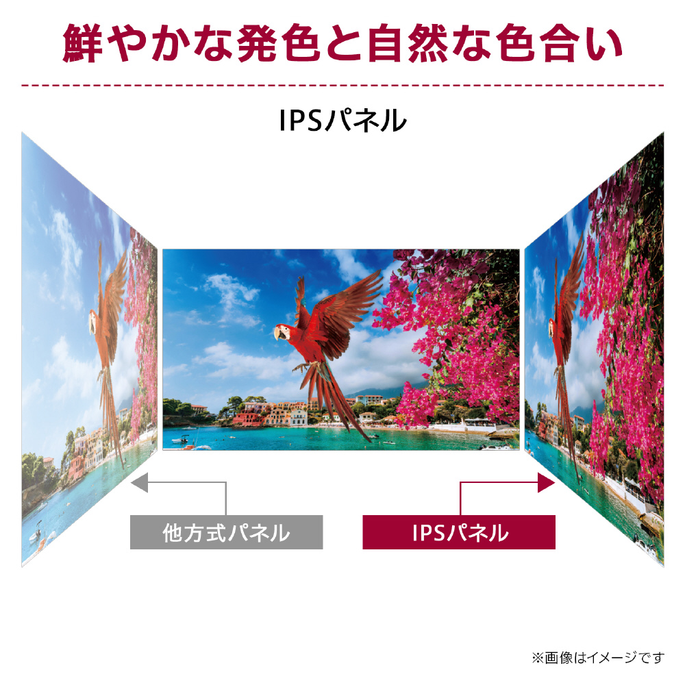 USB-C対応 PCモニター LG Monitor 24MS570B-B [23.8型 /フルHD USB-C対応 PCモニター LG Monitor 24MS570B-B [23.8型 /フルHD
