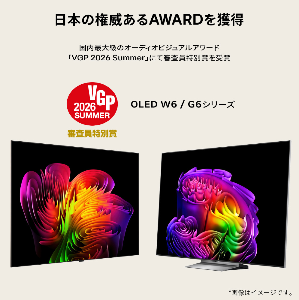 有機ELテレビ OLED65G6PJB ［65V型 /Bluetooth対応 /4K対応 /BS・CS 4K