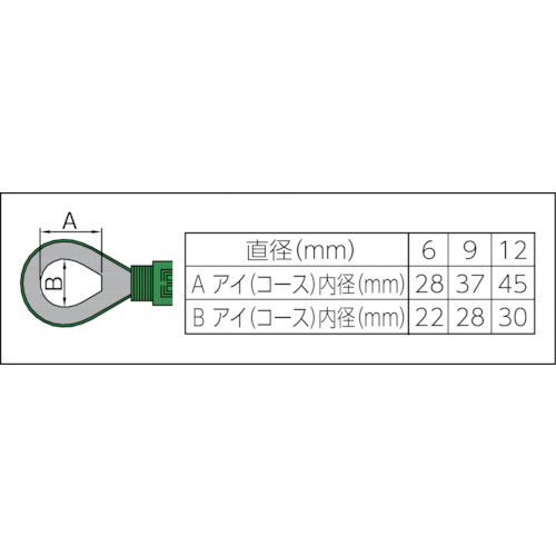 セフティパワーロープ 両端シンブル入 9mmX1m SP91C｜の通販は