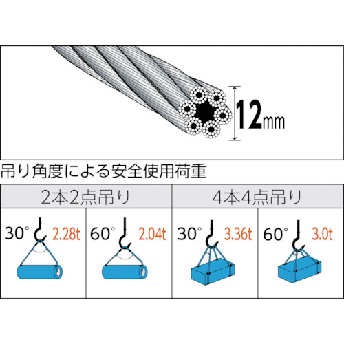 玉掛けワイヤーロープ 段落し 12mm×3m TWD12S3｜の通販はソフマップ