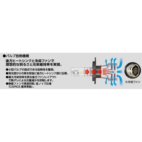 LEDヘッドバルブ COMPACT STAR for HEAD 6000K 4400lm H9/11 取付簡単！ポン付けドライバー一体型 2個入り  RGH-P791