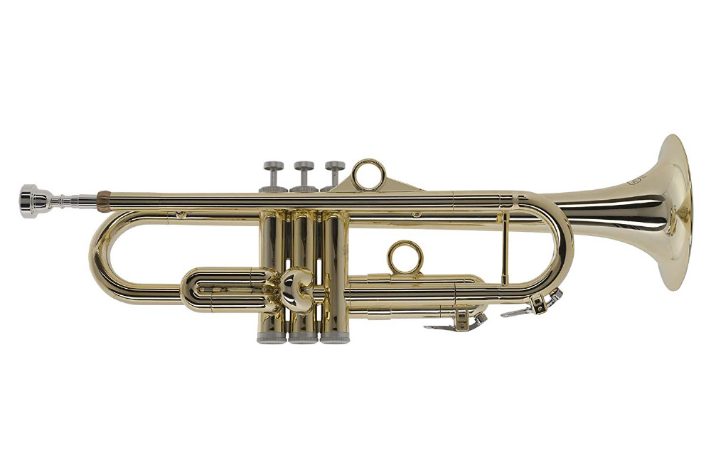 プラスチック製トランペット Ptrumpet Hytech ピー トランペット ハイテック Pinstruments ピーインストゥルメンツ Gold Ptrumpet1htg 管楽器 リード楽器本体の通販はソフマップ Sofmap