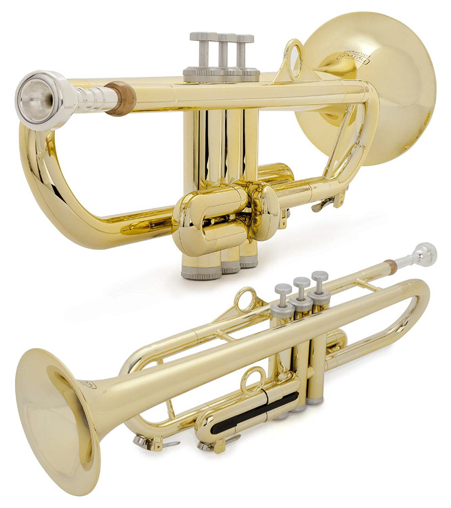 プラスチック製トランペット Ptrumpet Hytech ピー トランペット ハイテック Pinstruments ピーインストゥルメンツ Gold Ptrumpet1htg 管楽器 リード楽器本体の通販はソフマップ Sofmap