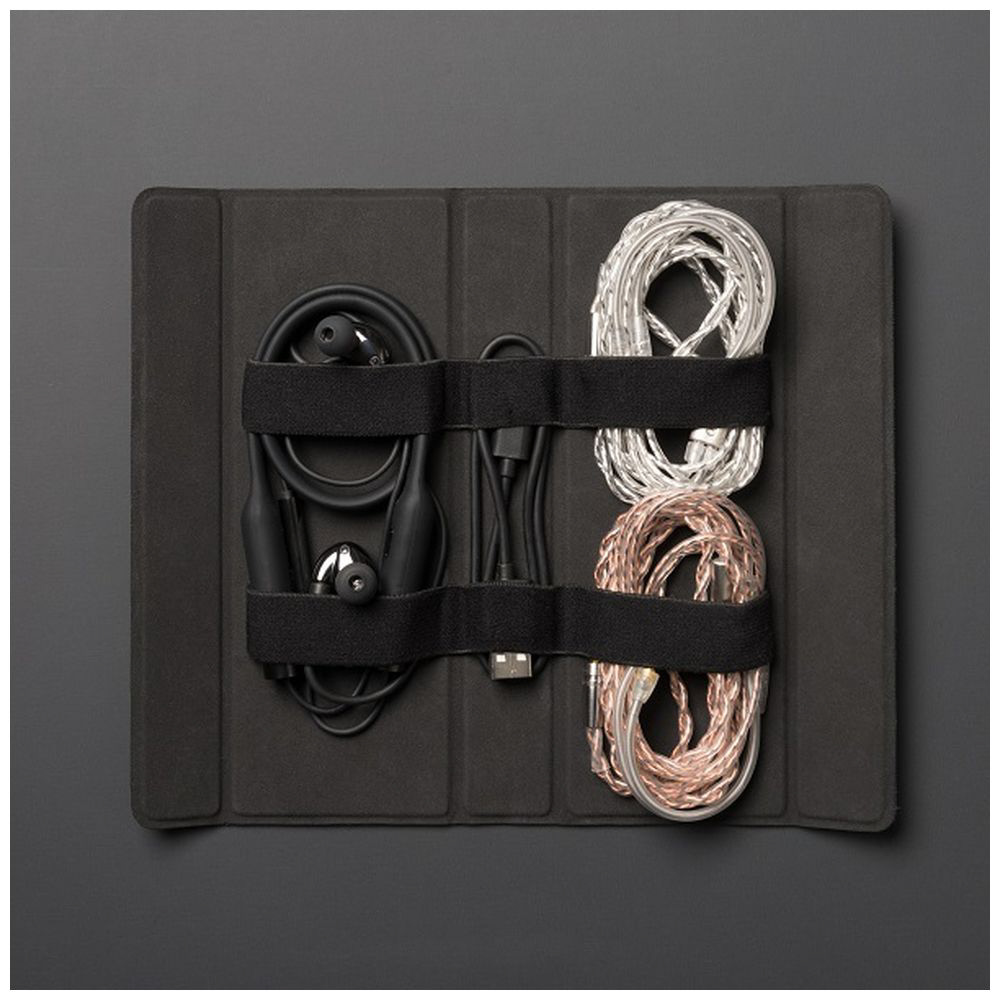 CL2 Planar【ハイレゾ対応】【リモコン・マイク対応】【MMCXリケーブル