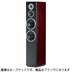 EXCITE X36 BLACKASH ｽﾋﾟｰｶｰﾍﾟｱ BLACKASH|DYNAUDIO