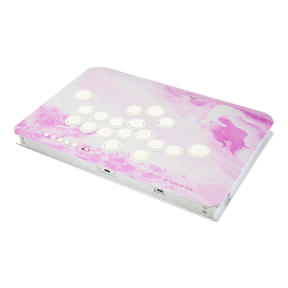 レバーレスアーケードコントローラー 格闘ゲーム用 [PC版] HA10(破天