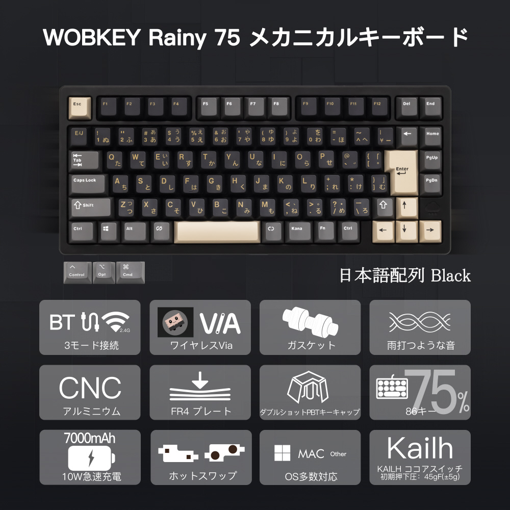 キーボード Rainy 75 Pro ブラック PR75BLK-JIS ［有線・ワイヤレス