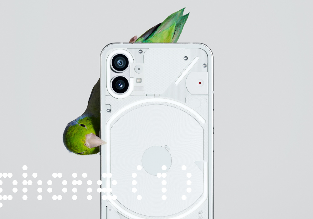 Phone(1) Snapdragon 778G+ 6.55インチ メモリ/ストレージ：8GB/256GB