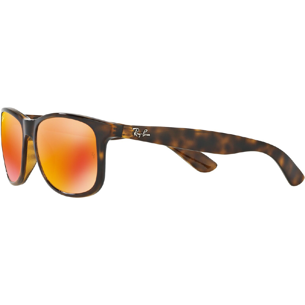 ANDY RB4202F 710/6S 57mm ハバナ/ダークブラウンオレンジミラーポラ