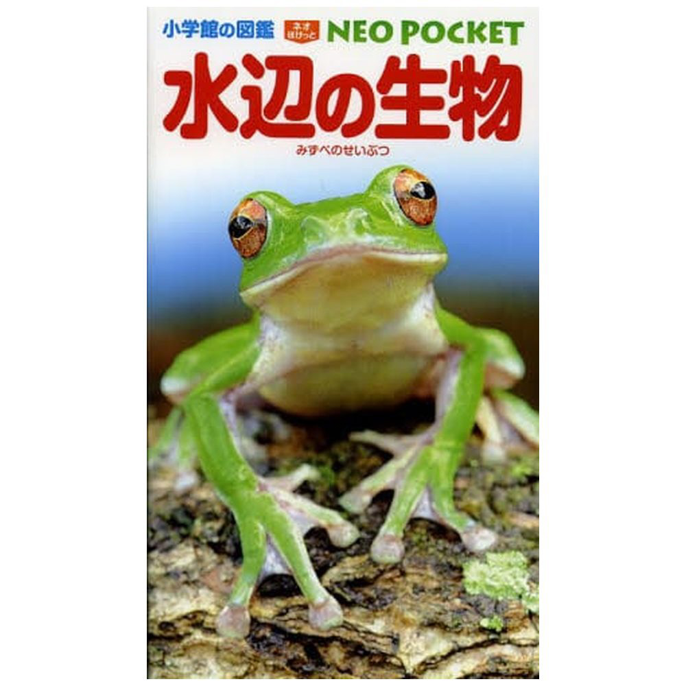 小学館のおやこ図鑑プチNEOからだあそびDVD 付き - 絵本・児童書