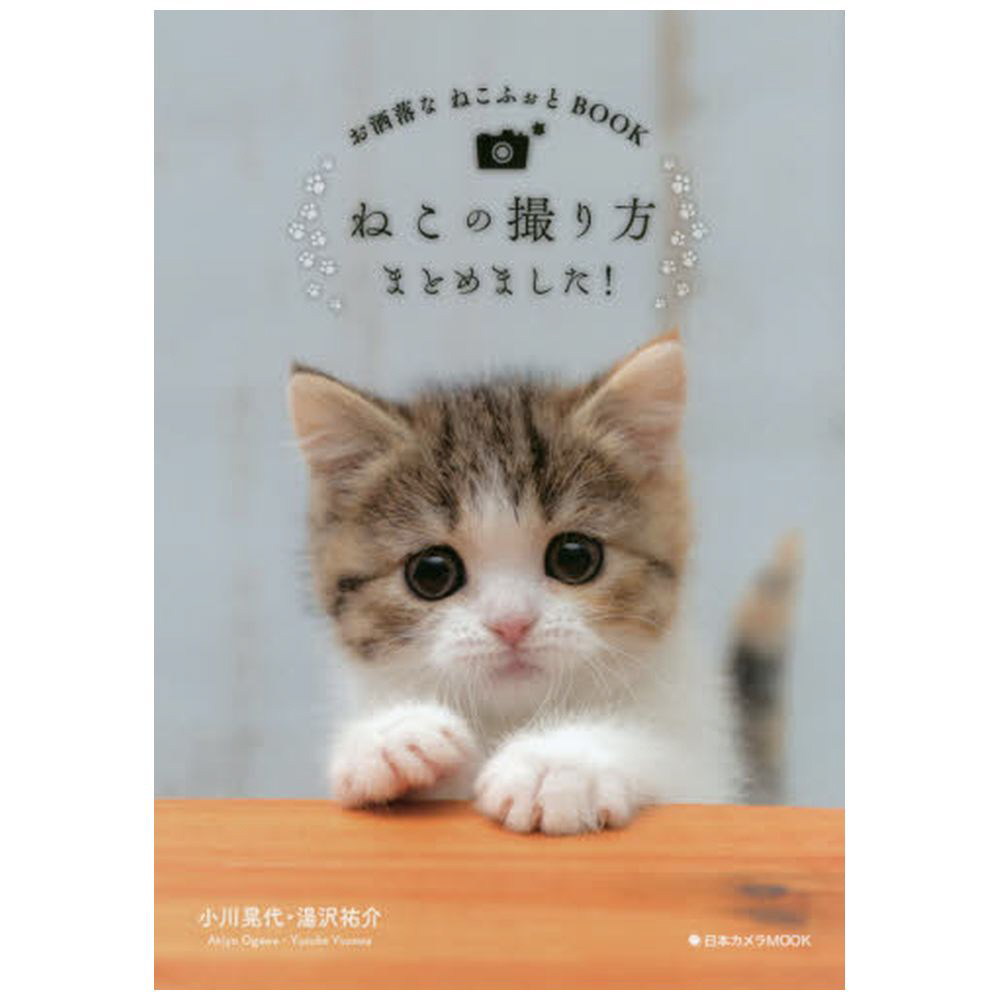 【ムック本】お洒落なねこふぉとBOOK　ねこの撮り方まとめました！ 【書籍】