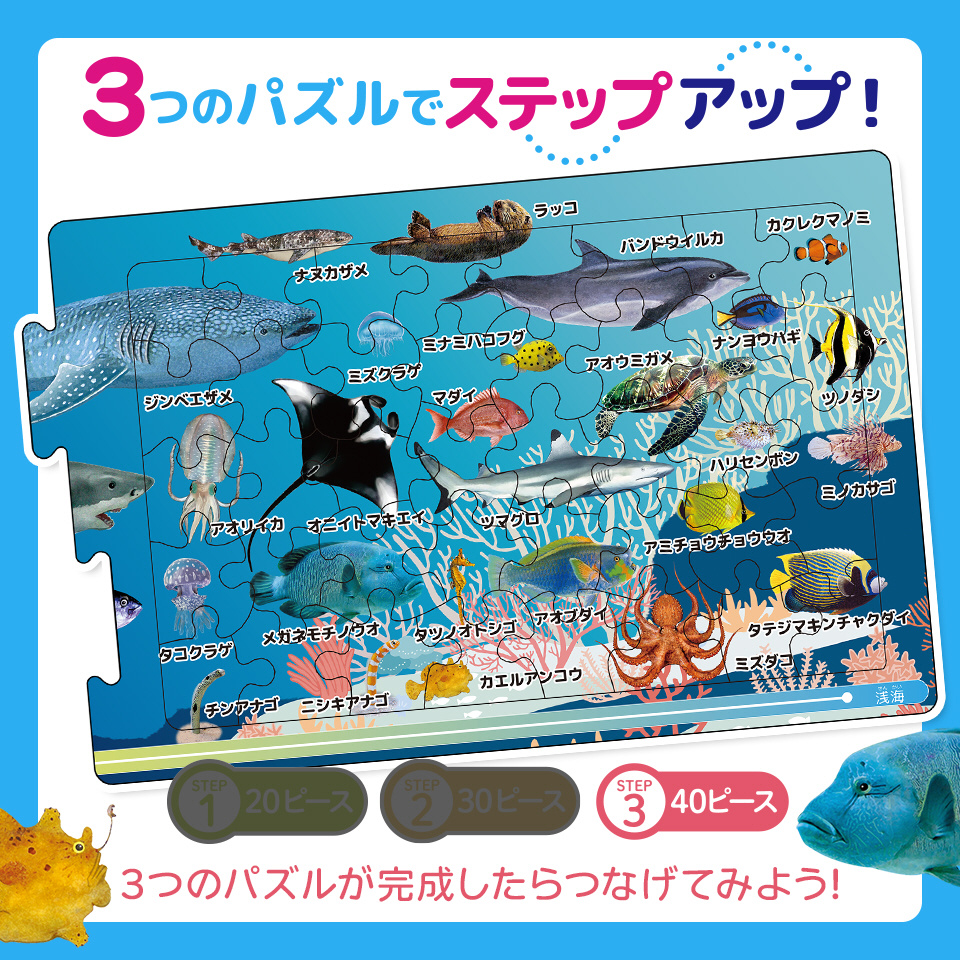 つなげるパズル図鑑　海の生き物｜の通販はアキバ☆ソフマップ[sofmap]